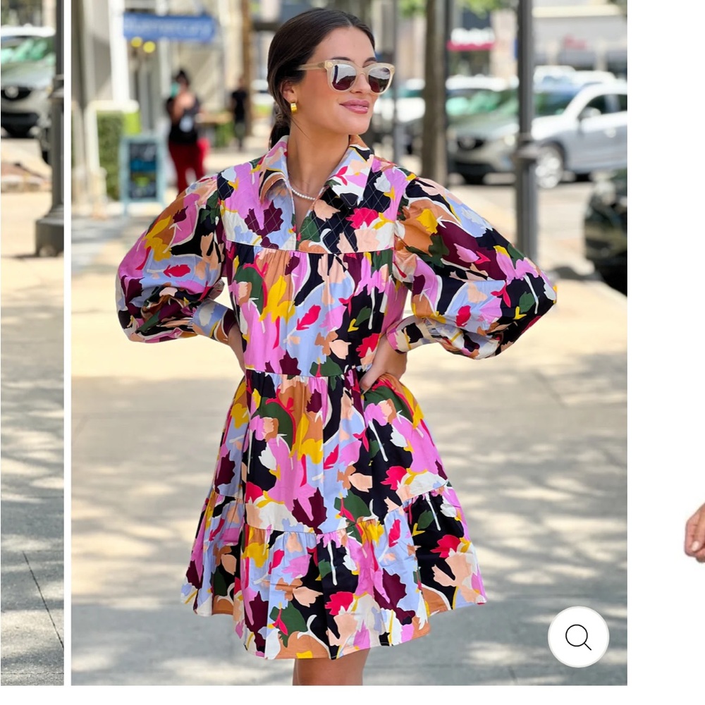 NWT Crosby by Mollie Burch Jocelyn Dress